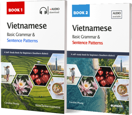 Vietnamese Basic Grammar and Sentence Patterns Bundle